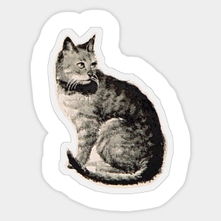 Cat vintage drawing Sticker